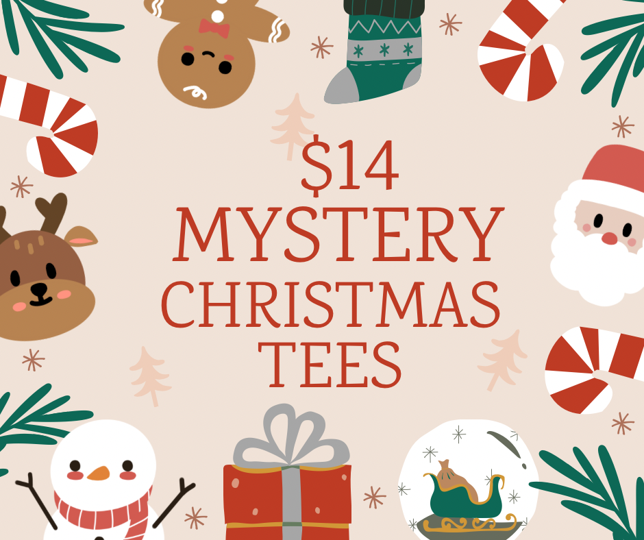 $14 Christmas Tee Shirts